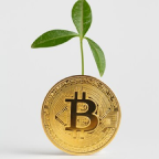 Simbolo de criptomoeda com planta crescendo na parte superior